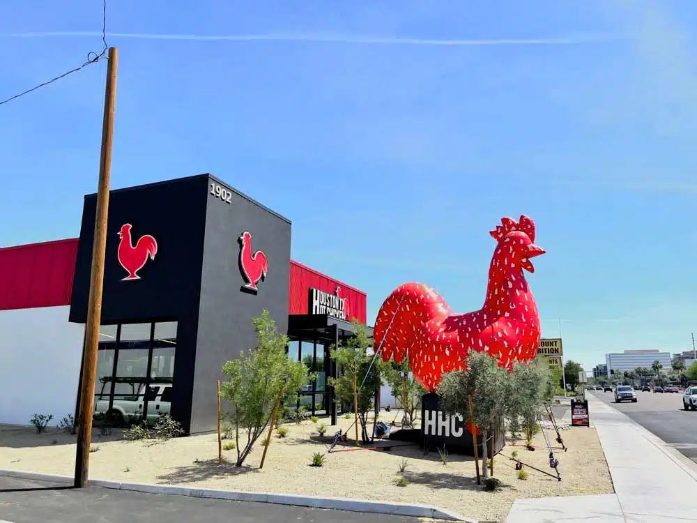 chicken restaurant custom design advertising balloon