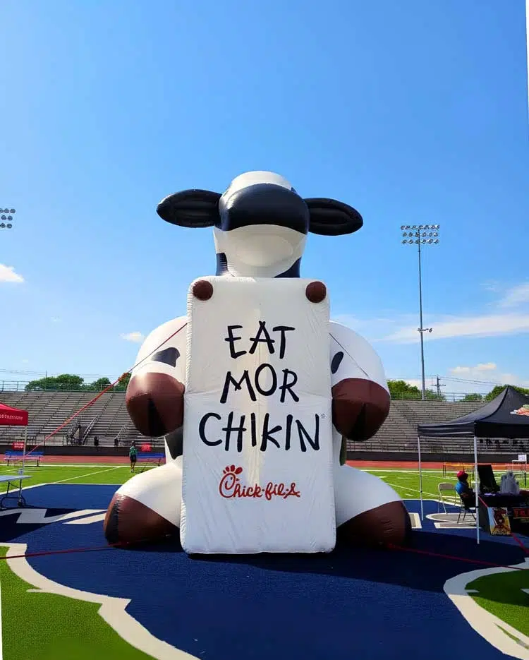custom inflatable advertising animal